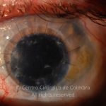 o02-ti12-8288-20150716-003