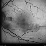 o02-ti15-130762-20100128-002