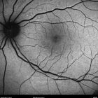 o02-ti15-2143329-20110524-004