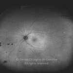 o02-ti15-2178605-20131107-002