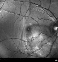 o03-ti01-130725-20100204-026