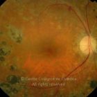 o05-ti02-3254-20090408-003