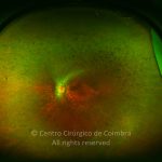 o06-ti02-27203-20100413-002