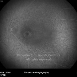 o06-ti07-128701-20091130-075