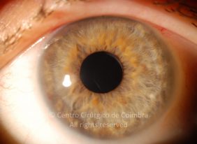 o06-ti12-4870-20101019-001