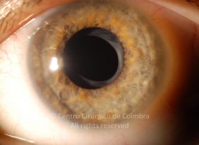 o07-ti12-4870-20101207-001
