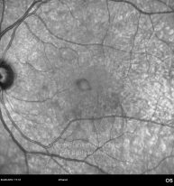 o07-ti16-2165336-20120904-008