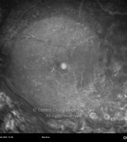 o09-ti01-2144284-20120124-002