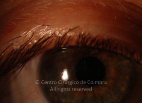 o09-ti12-4870-20110117-002