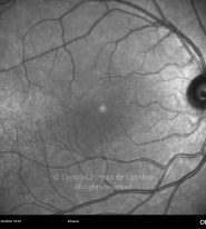 o09-ti16-3251-20101008-003