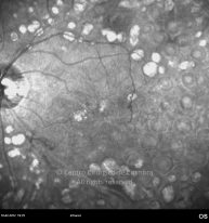o10-ti16-2155385-20120210-004