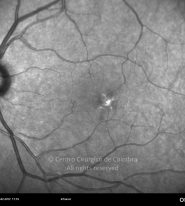 o10-ti16-2158247-20120208-006