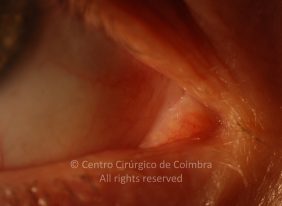 o12-ti12-4870-20110117-004