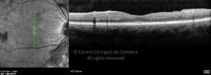 o13-ti03-2143334-20110121-013