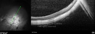 o14-ti03-4870-20100920-002