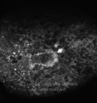 o14-ti07-110699-20100331-002