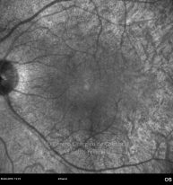 o14-ti16-131915-20100409-007