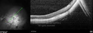 o15-ti03-4870-20100920-003
