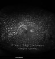 o15-ti07-29378-20110419-010