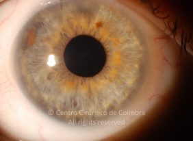o15-ti12-4870-20110125-002