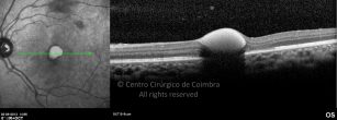 o16-ti03-2176954-20130902-015