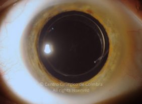 o16-ti12-4870-20110506-001