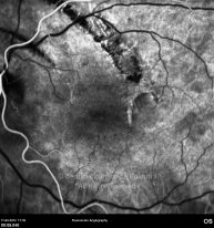 o17-ti07-2141163-20120411-013