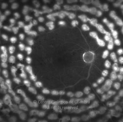o19-ti02-2159491-20120420-993