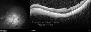 o19-ti03-4870-20100920-007