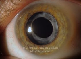 o19-ti12-4870-20120209-002