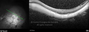 o20-ti03-4870-20100920-008
