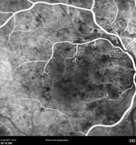 o20-ti07-2138876-20110221-008