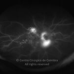 o20-ti07-29378-20110215-002