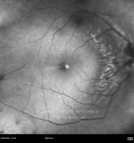 o21-ti01-27203-20110210-001