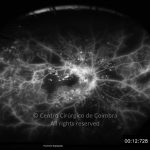 o21-ti07-2175366-20130709-029