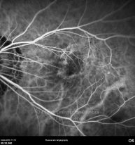 o21-ti07-4870-20100624-012