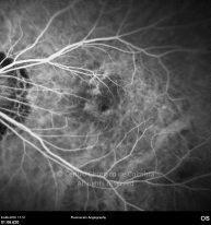 o22-ti07-4870-20100624-013