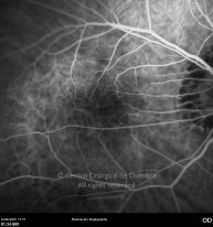 o23-ti07-4870-20100624-009