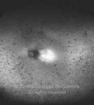 o23-ti15-2159988-20120424-997