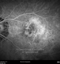 o24-ti07-4870-20100624-001