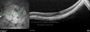 o26-ti03-4870-20100922-004