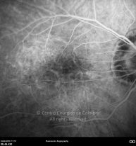 o26-ti07-4870-20100624-010
