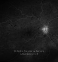 o27-ti07-274-20100623-003