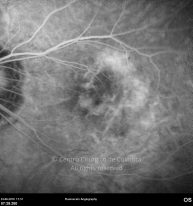 o27-ti07-4870-20100624-016