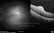 o29-ti03-130819-20100303-021