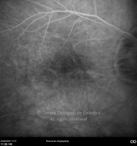o29-ti07-4870-20100624-014