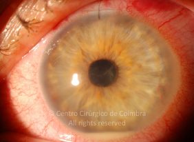 o31-ti12-4870-20100923-001