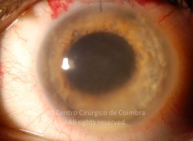 o33-ti12-4870-20100923-003