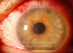 o37-ti12-4870-20100923-007