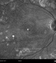 o49-ti16-23032-20110427-005